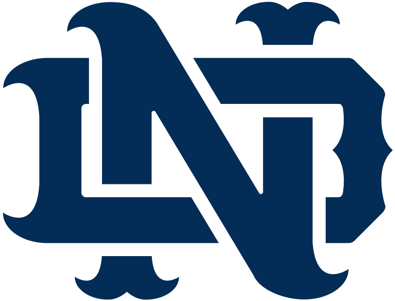 Notre Dame Fighting Irish 1994-Pres Alternate Logo v11 DIY iron on transfer (heat transfer)